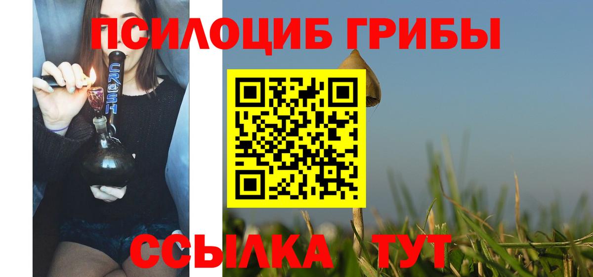 Галлюциногенные грибы MAGIC MUSHROOMS Ртищево